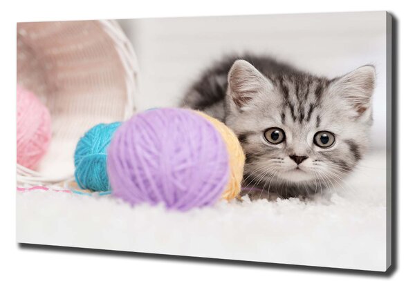 Print pe canvas Cat cu motkami