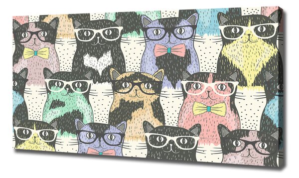 Imprimare tablou canvas pisici ochelari