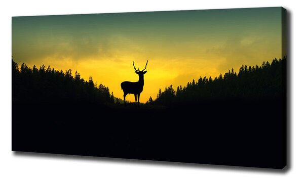 Tablou canvas cerb