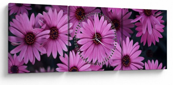 Tablou cu florile roz (cu ceas) (90x30 cm)