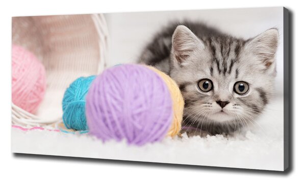 Print pe canvas Cat cu motkami