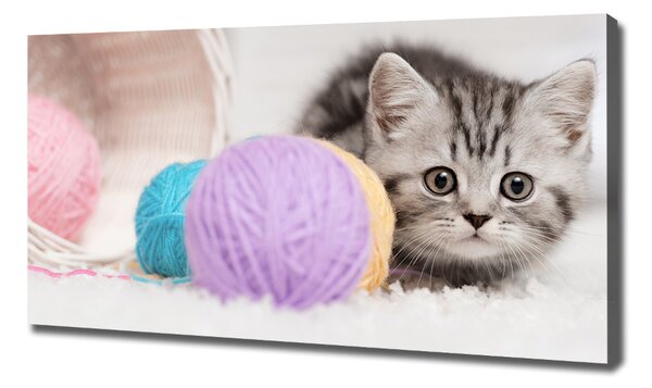 Print pe canvas Cat cu motkami