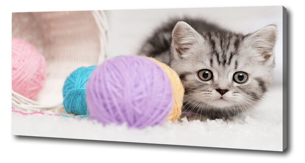 Print pe canvas Cat cu motkami