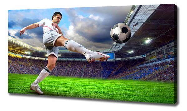 Pictură pe pânză jucător de fotbal pe stadion