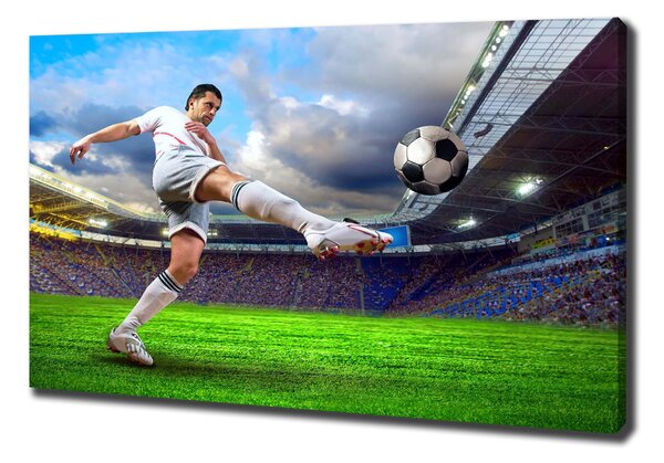 Pictură pe pânză jucător de fotbal pe stadion