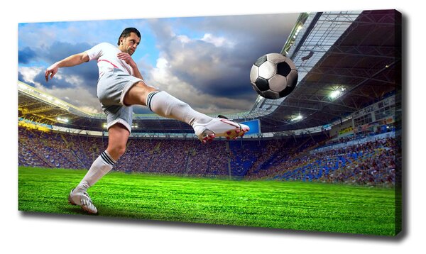 Pictură pe pânză jucător de fotbal pe stadion