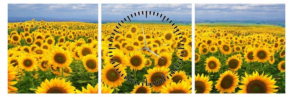 Tablou cu lan de floarea soarelui (cu ceas) (90x30 cm)