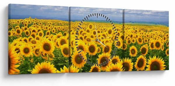 Tablou cu lan de floarea soarelui (cu ceas) (90x30 cm)