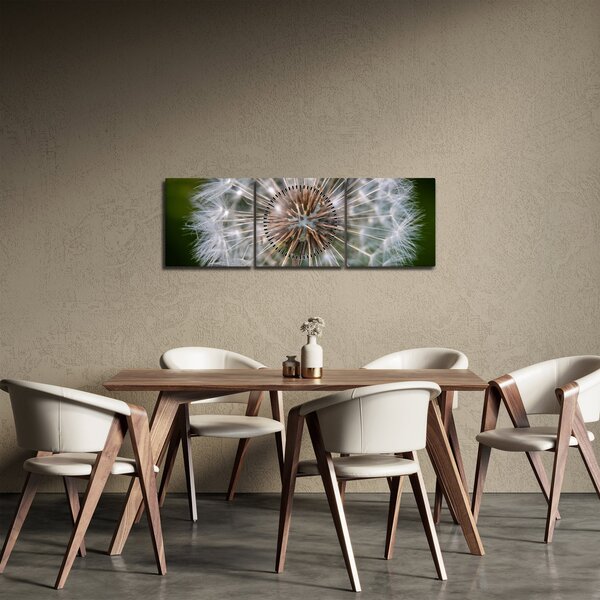 Tablou cu păpădie (cu ceas) (90x30 cm)