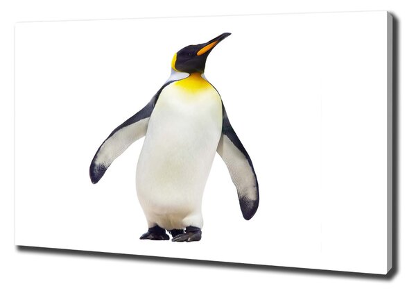 Tablou pe pânză canvas Pinguin