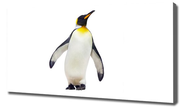 Tablou pe pânză canvas Pinguin