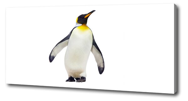 Tablou pe pânză canvas Pinguin