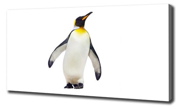 Tablou pe pânză canvas Pinguin
