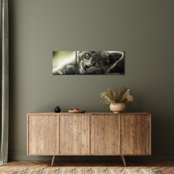 Tablou cu pisicuța (cu ceas) (90x30 cm)