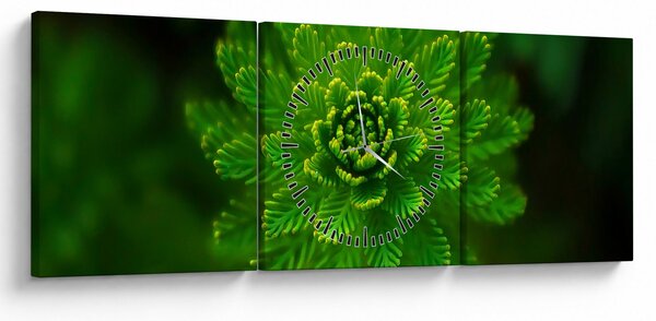Tablou cu coniferi (cu ceas) (90x30 cm)