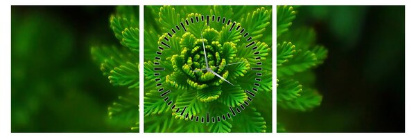 Tablou cu coniferi (cu ceas) (90x30 cm)