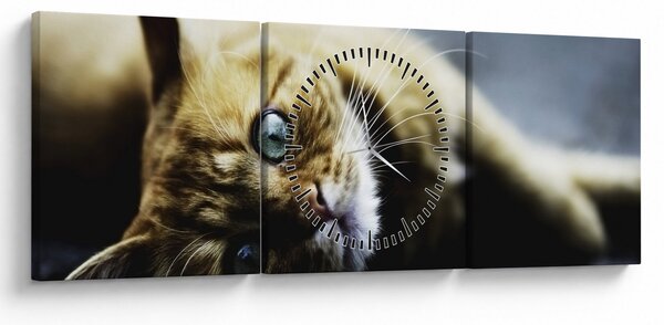 Tablou cu pisica (cu ceas) (90x30 cm)