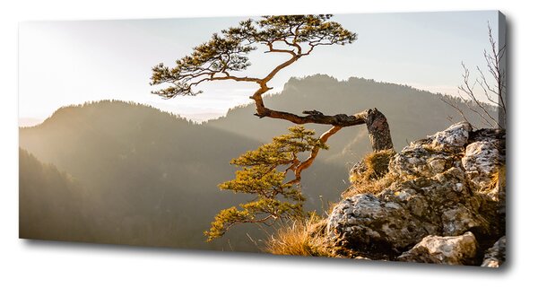 Print pe pânză Pieniny Sokolica