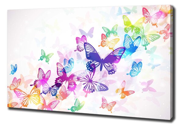 Print pe canvas fluturi colorat