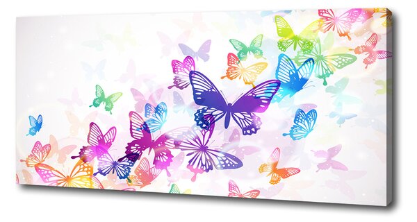 Print pe canvas fluturi colorat