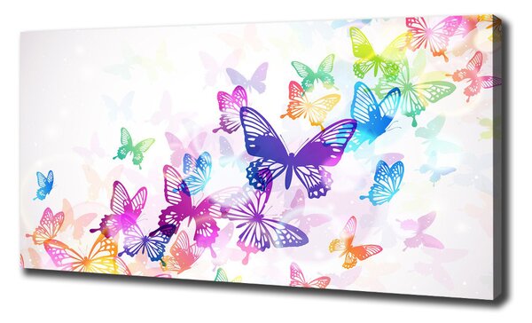 Print pe canvas fluturi colorat