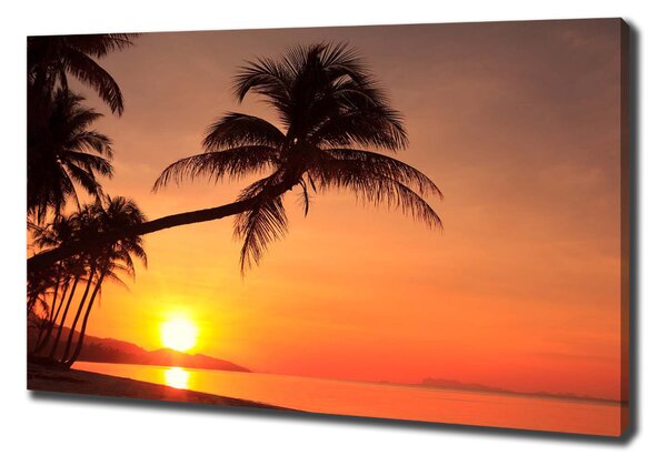 Pictură pe pânză Sunset Beach