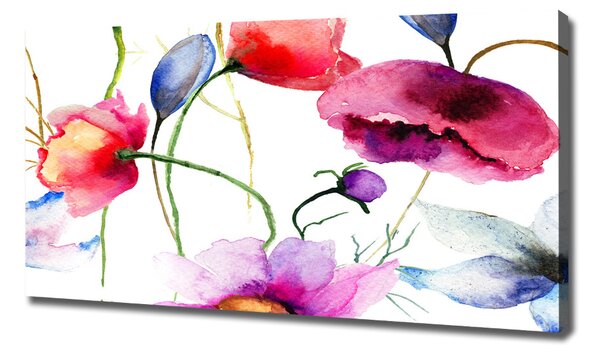 Print pe canvas Maki