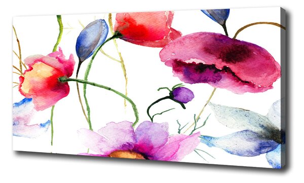 Print pe canvas Maki
