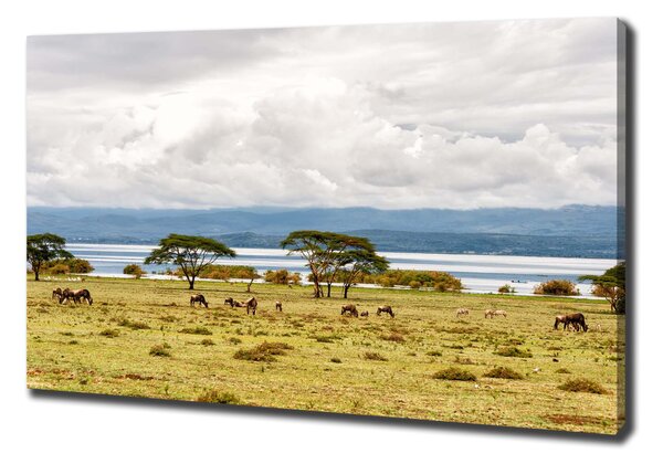 Print pe canvas Lacul Naivasha