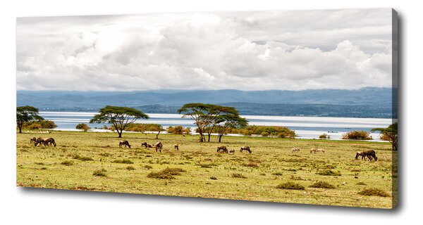 Print pe canvas Lacul Naivasha