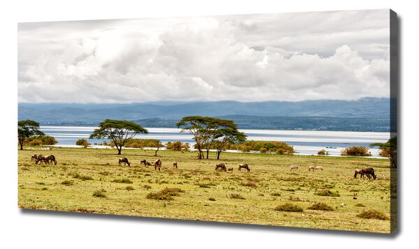 Print pe canvas Lacul Naivasha