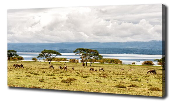Print pe canvas Lacul Naivasha