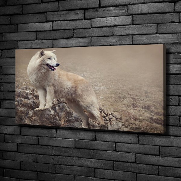 Tablou canvas lup alb pe stâncă