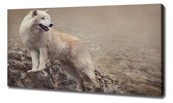 Tablou canvas lup alb pe stâncă