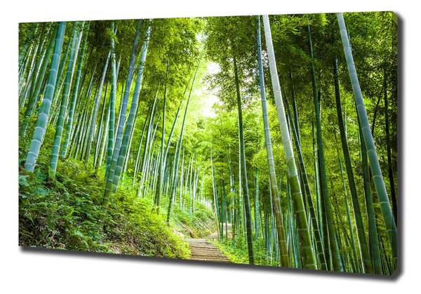 Tablou canvas pădure de bambus