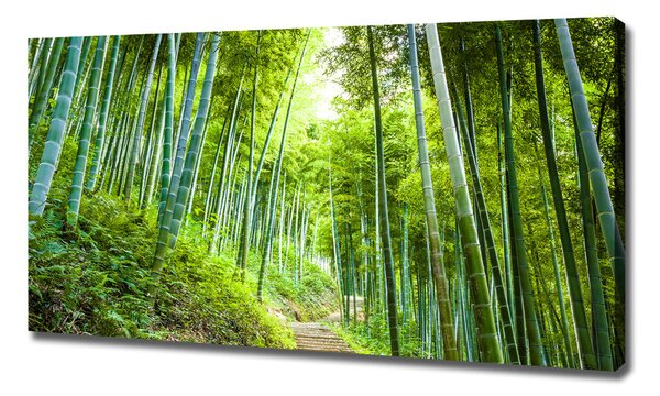 Tablou canvas pădure de bambus