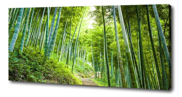 Tablou canvas pădure de bambus