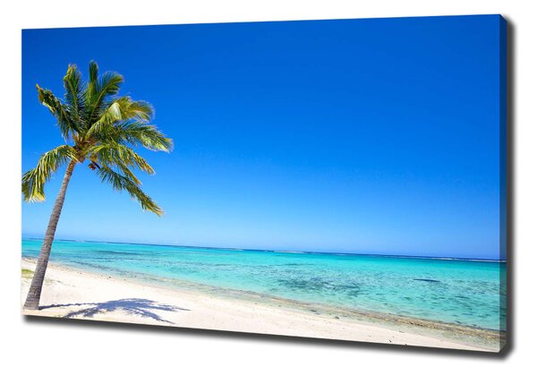 Tablou canvas plaja tropicala