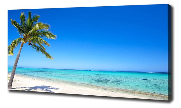 Tablou canvas plaja tropicala