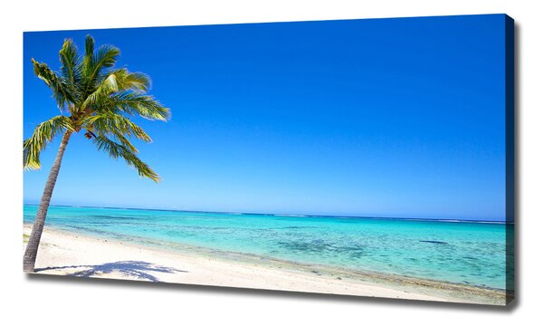 Tablou canvas plaja tropicala