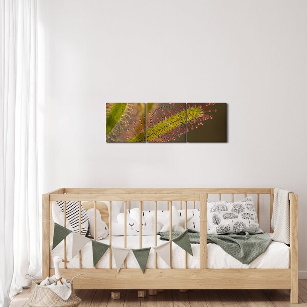 Tablou cu plantă (cu ceas) (90x30 cm)