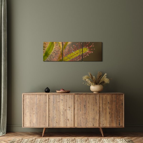 Tablou cu plantă (cu ceas) (90x30 cm)