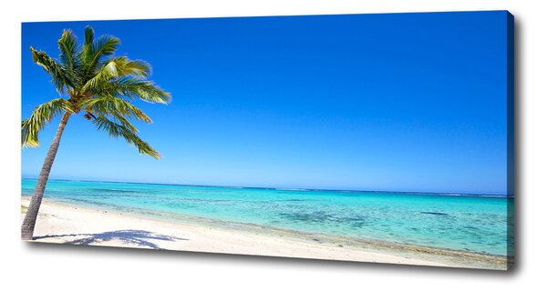 Tablou canvas plaja tropicala