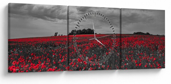 Tablou cu maci (cu ceas) (90x30 cm)