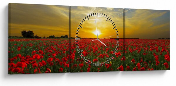 Tablou cu câmp cu maci (cu ceas) (90x30 cm)