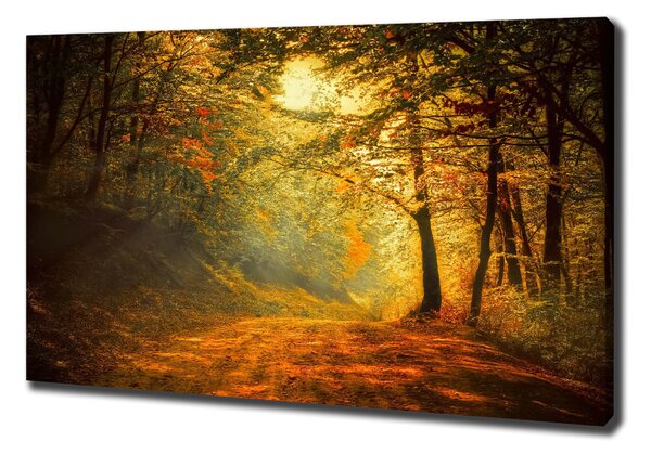 Pictură pe pânză pădure în toamna
