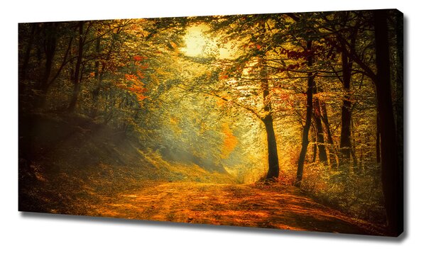 Pictură pe pânză pădure în toamna
