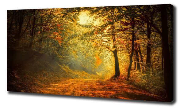 Pictură pe pânză pădure în toamna