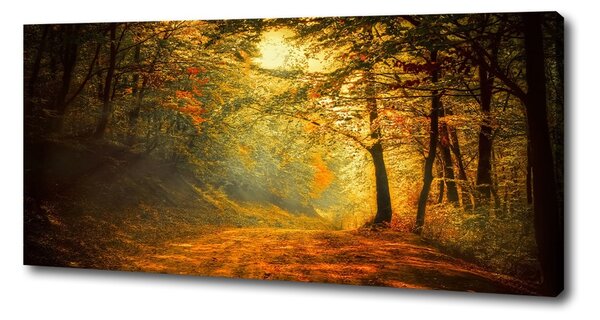 Pictură pe pânză pădure în toamna