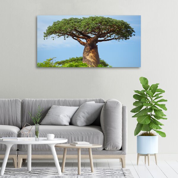 Tablou canvas Baobab